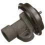 DELPHI EG10244 EGR Valve