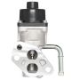 DELPHI EG10304 EGR Valve
