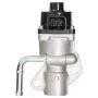 DELPHI EG10304 EGR Valve