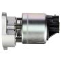 DELPHI EG10311 EGR Valve