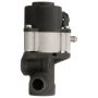 DELPHI EG10456 EGR Valve