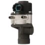 DELPHI EG10456 EGR Valve