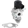 DELPHI EG10483 EGR Valve