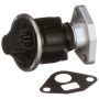 DELPHI EG10499 EGR Valve