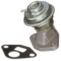 DELPHI EG10503 EGR Valve