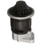 DELPHI EG10519 EGR Valve