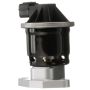DELPHI EG10519 EGR Valve