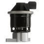 DELPHI EG10519 EGR Valve