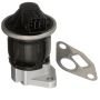 DELPHI EG10519 EGR Valve