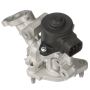 DELPHI EG10535 EGR Valve