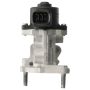 DELPHI EG10535 EGR Valve