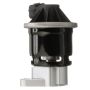 DELPHI EG10541 EGR Valve