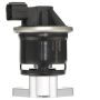 DELPHI EG10601 EGR Valve