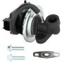DELPHI EG10602 EGR Valve