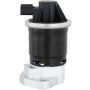 DELPHI EG10662 EGR Valve