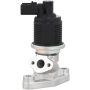 DELPHI EG10678 EGR Valve