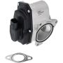 DELPHI EG10743 EGR Valve