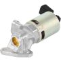 DELPHI EG10748 EGR Valve