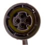 DELPHI ES10290 Oxygen Sensor