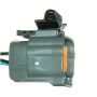 DELPHI ES20100 Oxygen Sensor
