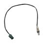 DELPHI ES20363 Oxygen Sensor