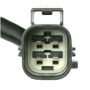 DELPHI ES20364 Oxygen Sensor