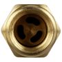 DELPHI FA10016 Fuel Pump Check Valve