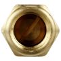 DELPHI FA10016 Fuel Pump Check Valve