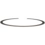 DELPHI FA10022 Fuel Tank Lock Ring