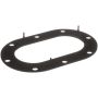 DELPHI FA10033 Fuel Pump Tank Seal