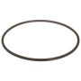 DELPHI FA10036 Fuel Pump Tank Seal