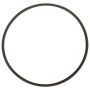 DELPHI FA10036 Fuel Pump Tank Seal