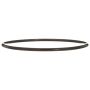 DELPHI FA10036 Fuel Pump Tank Seal