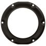 DELPHI FA10037 Fuel Tank Lock Ring