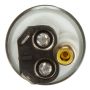 DELPHI FE0079 Electric Fuel Pump