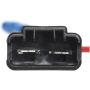 DELPHI FE0291 Fuel Pump and Strainer Set