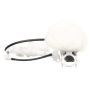 DELPHI FE0706 Fuel Pump and Strainer Set