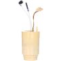DELPHI FE0752 Fuel Pump and Strainer Set