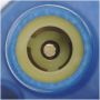 DELPHI FE0827 Electric Fuel Pump