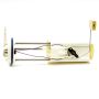 DELPHI FG0033 Fuel Transfer Unit