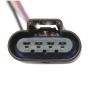 DELPHI FG0048 Fuel Pump Module Assembly