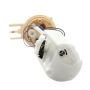 DELPHI FG0068 Fuel Pump Module Assembly