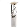 DELPHI FG0091 Fuel Pump Module Assembly
