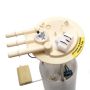 DELPHI FG0096 Fuel Pump Module Assembly