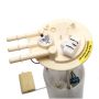 DELPHI FG0096 Fuel Pump Module Assembly