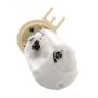 DELPHI FG0164 Fuel Pump Module Assembly