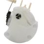 DELPHI FG0302 Fuel Pump Module Assembly