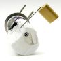 DELPHI FG0328 Fuel Pump Module Assembly