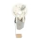 DELPHI FG0329 Fuel Pump Module Assembly