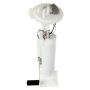 DELPHI FG0425 Fuel Pump Module Assembly